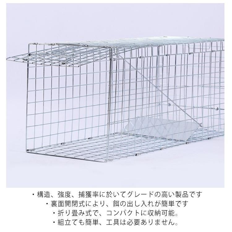 小動物 犬