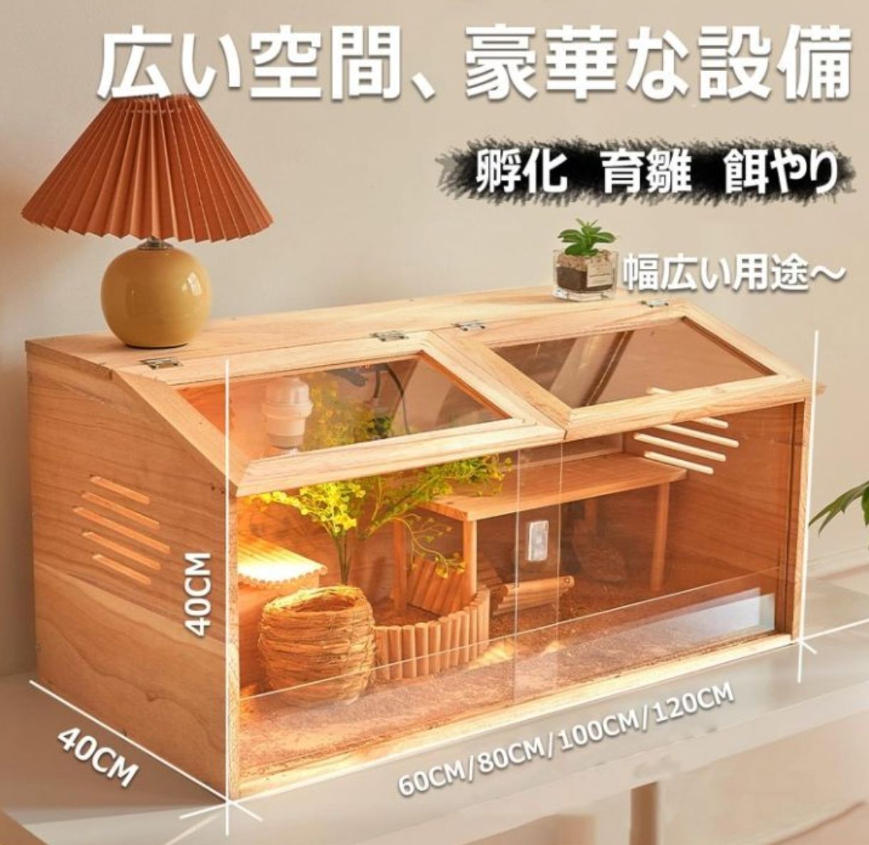 アヒル