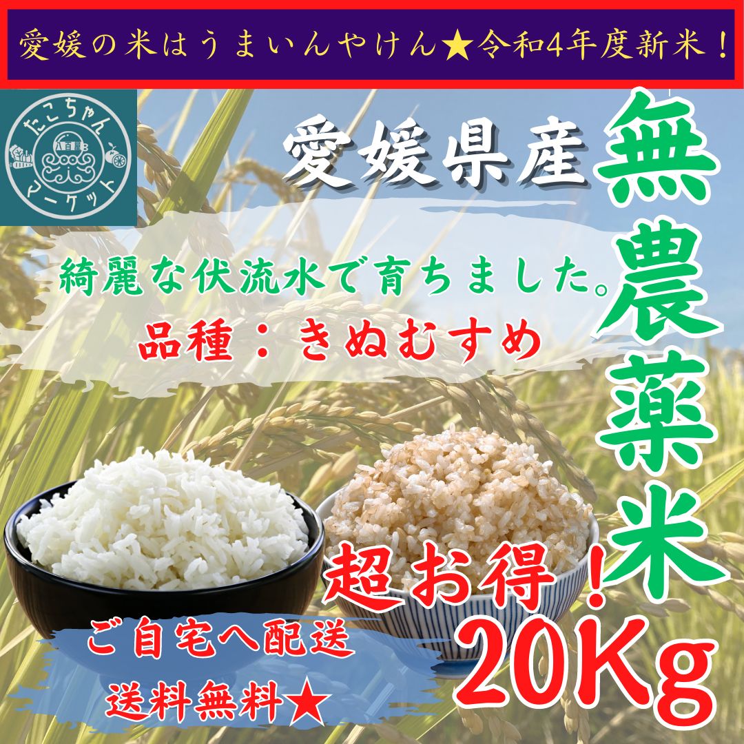 令和5年度産　新米コシヒカリ　農薬不使用玄米20kg