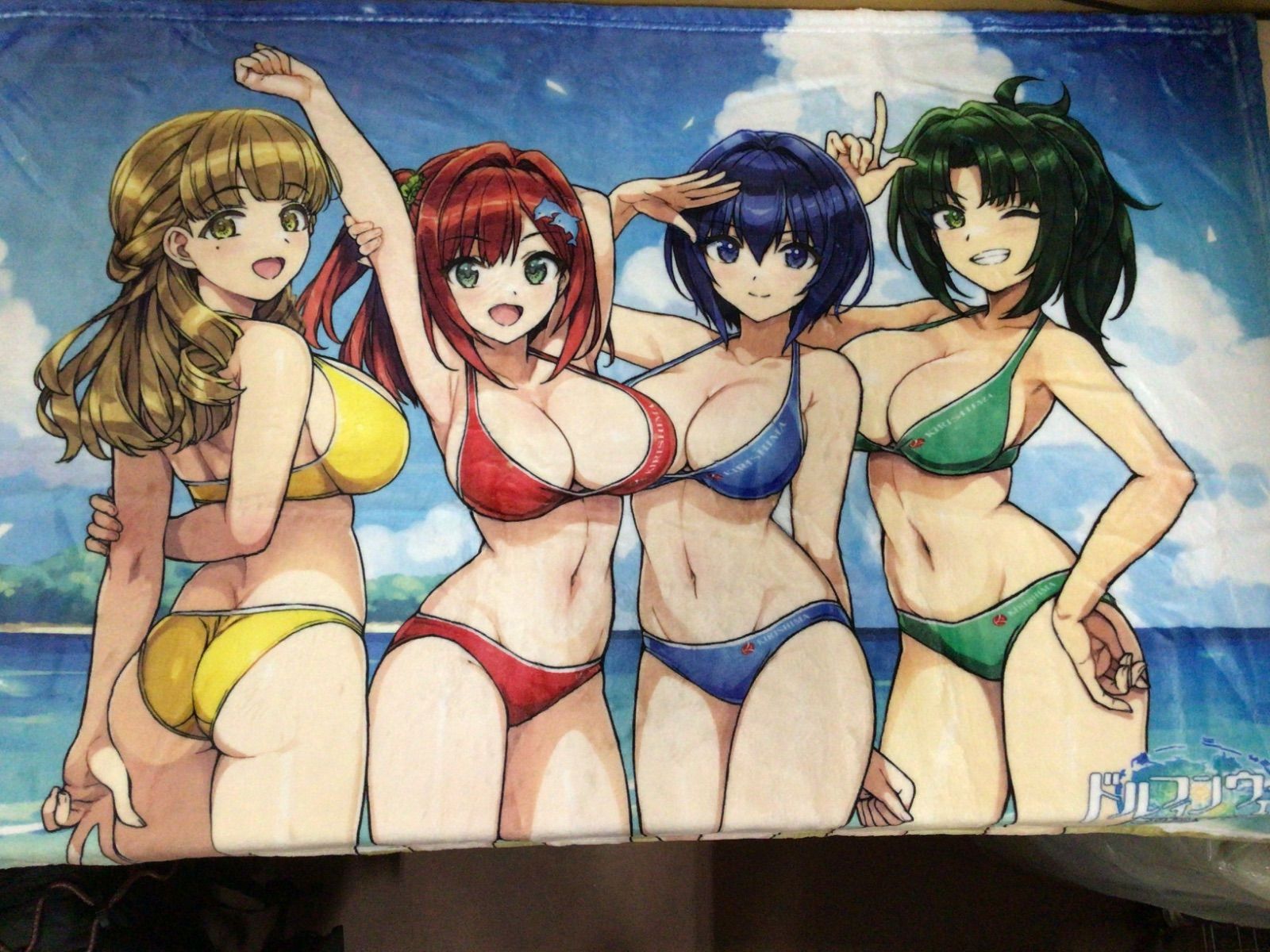 【シリアルコード未使用】ドルフィンウェーブ 公式イラスト集 未開封希少品 ドルフィンウェーブ 公式イラスト集 OFFICIAL VISUAL
