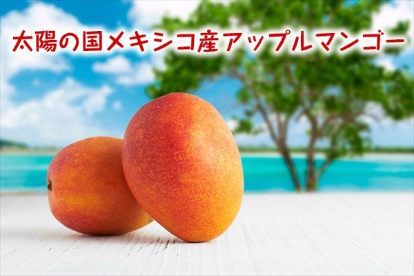 6個