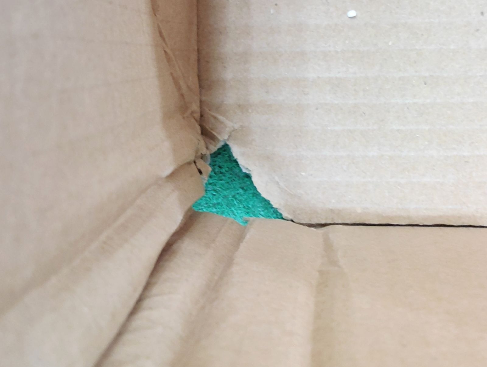 スチームトースターPro