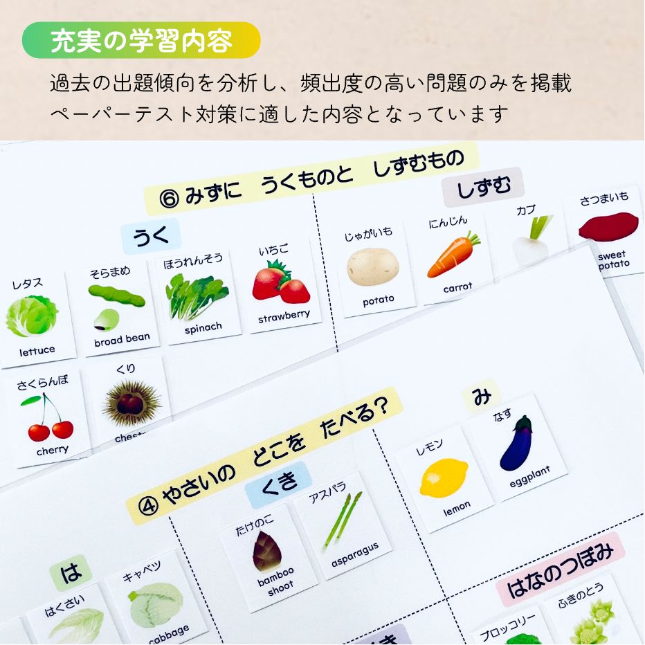 野菜と果物 小学校受験教材 理科的常識 幼児教育 知育 断面図 旬の季節 - メルカリ