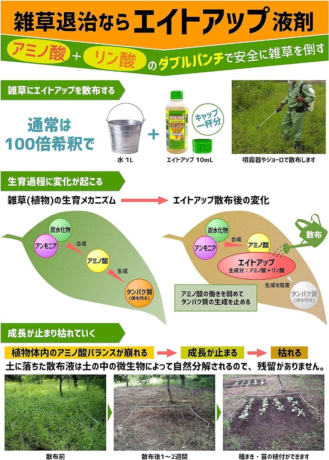 5L シージーエス
