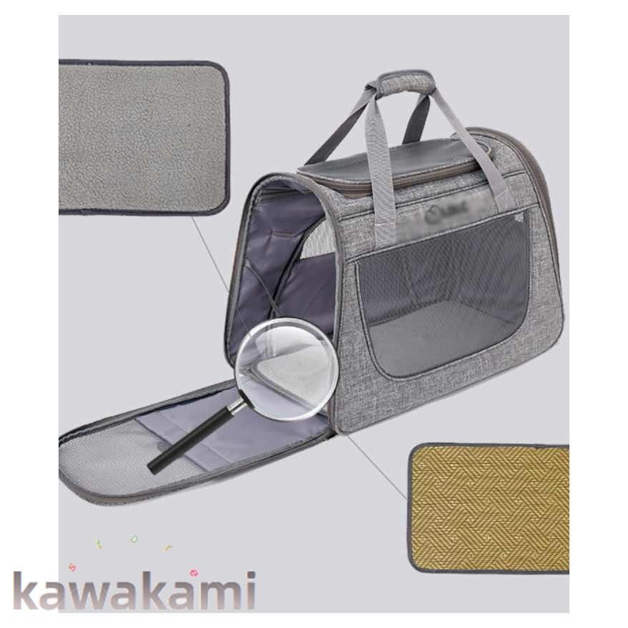 キャリーリュック