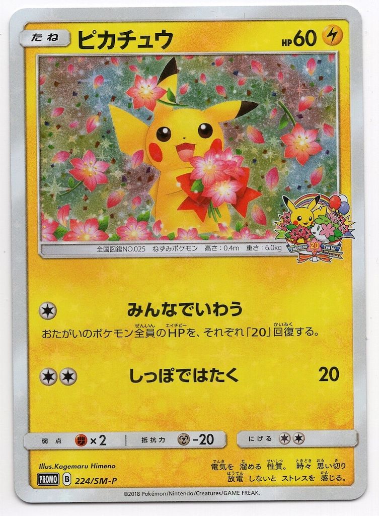 Pokemon SMプロモ 224/SM-P ピカチュウ(みんなでいわう)