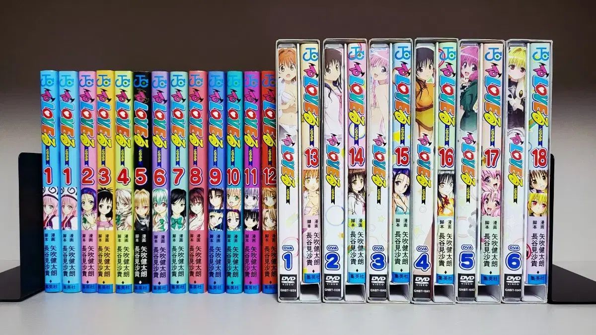 激安100％質量保証。 愛すること トラブル 日本 願書 1 18 全巻 完結 ＆ DVD 版