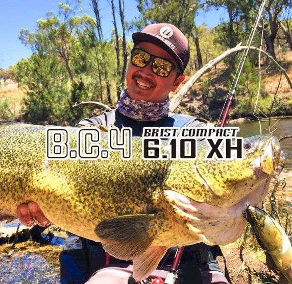 フィッシュマン ブリスト コンパクト BC 4 6.10 XH Fishman BRIST COMPACT
