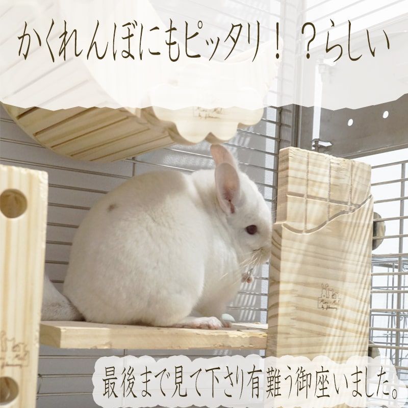 木製 チンチラ 板チョコ ハウス ステップ かじり木 かじり木 小動物