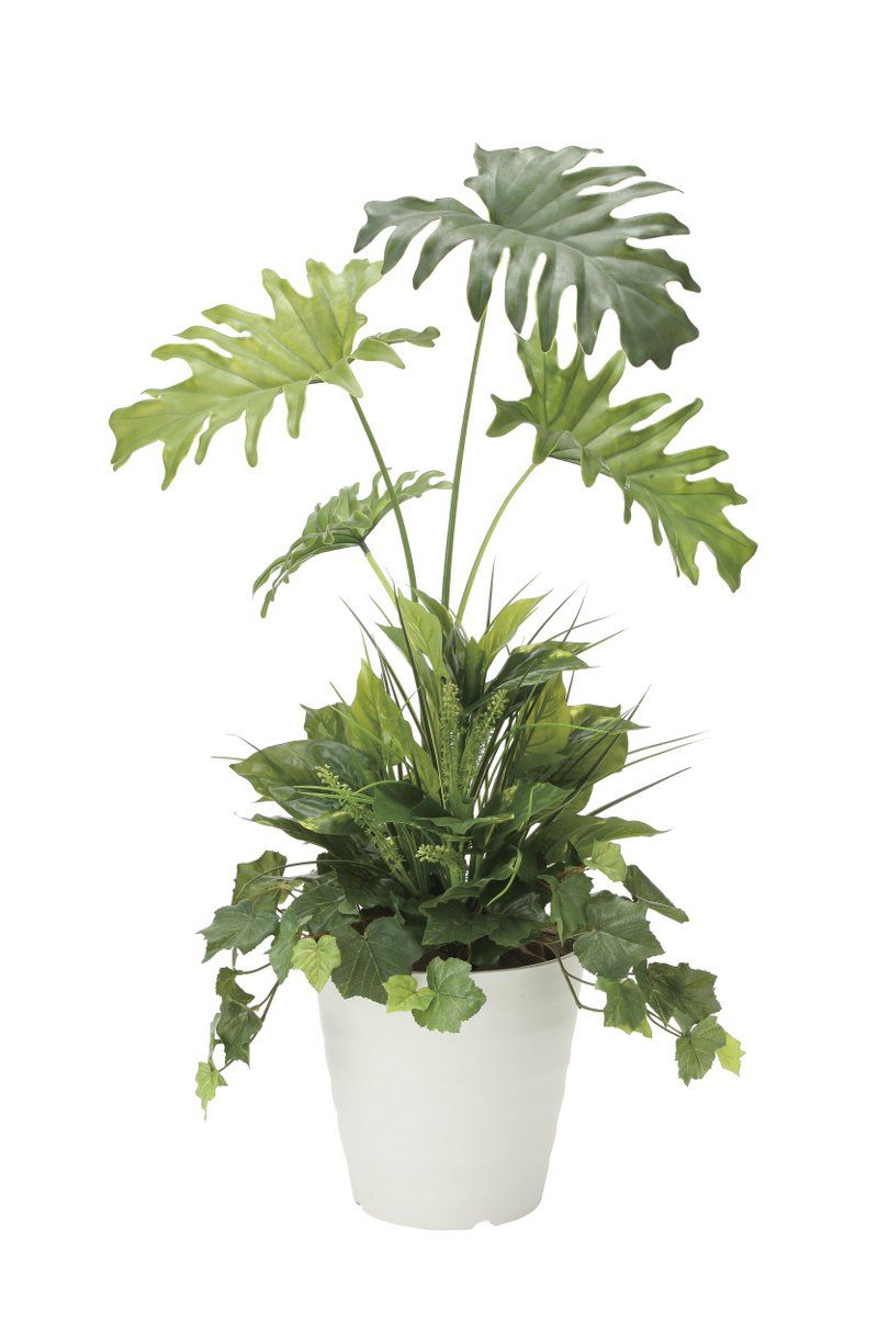 光触媒観葉植物 スプリット90植栽付〔フロアタイプ(ミドルサイズ)〕/光触媒 観葉植物 ウンベラータ フェイクグリーン 花 胡蝶蘭 開店祝い 開業祝い 誕生祝い 造花 アートフレーム おしゃれ 飾る 5Lサイズ