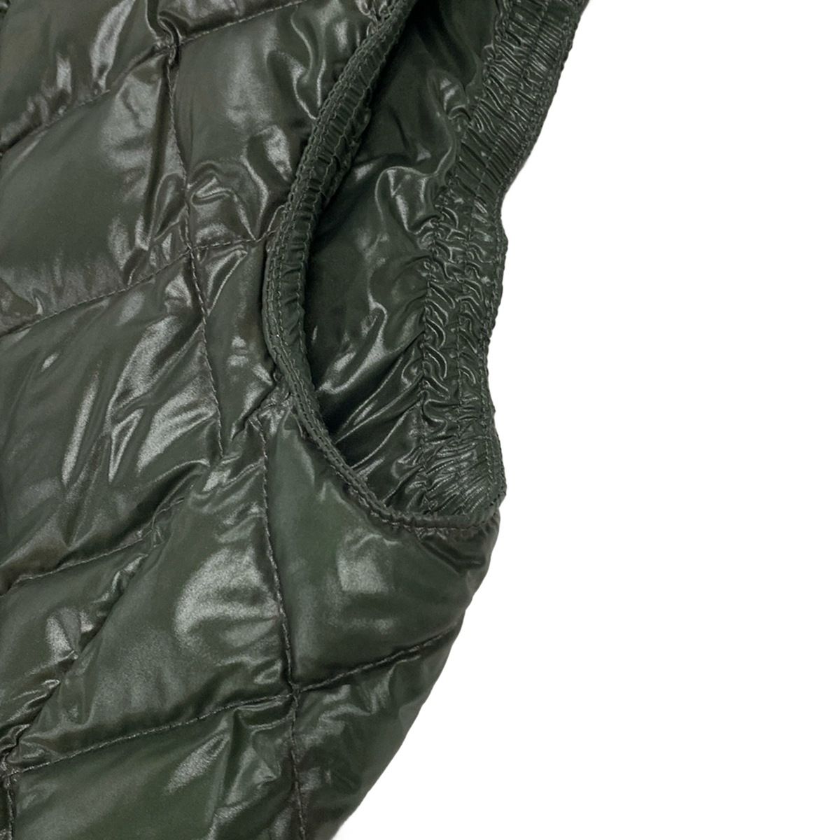 ポーランドラクーンファー