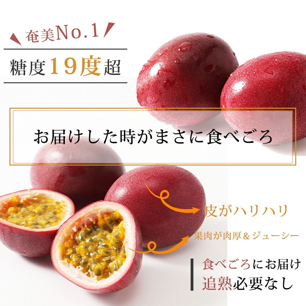 予約）【メーカー直送】【6月下旬より発送】パッションフルーツ