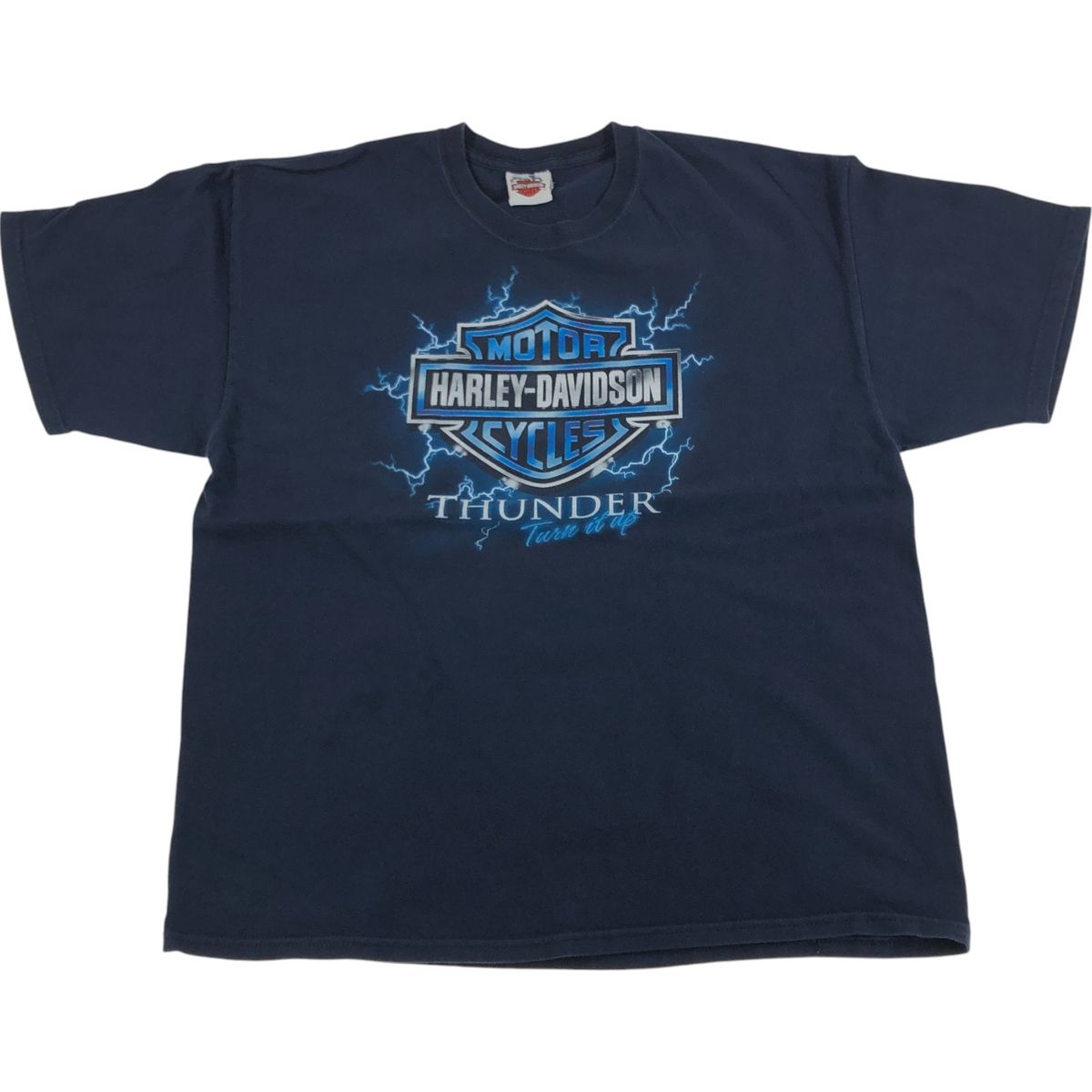 古着 ハーレーダビッドソン Harley-Davidson HANES ヘインズ サンダー 