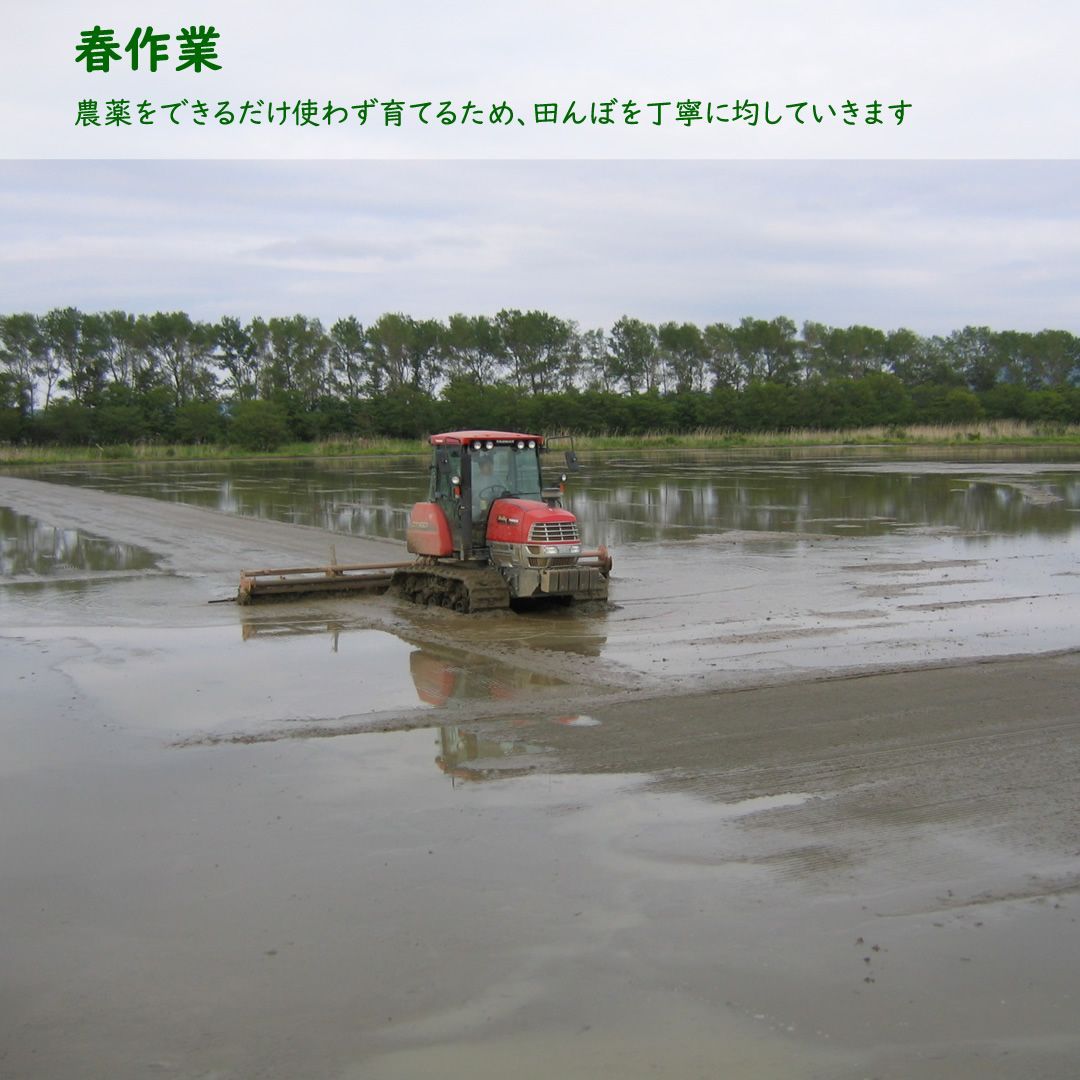 20kg玄米