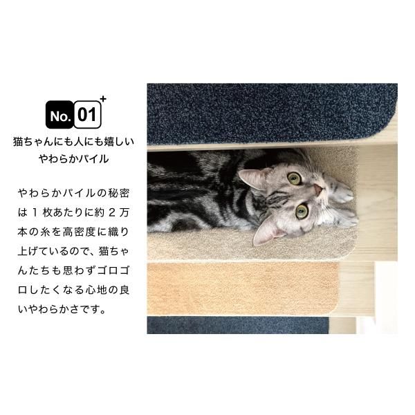 犬 猫