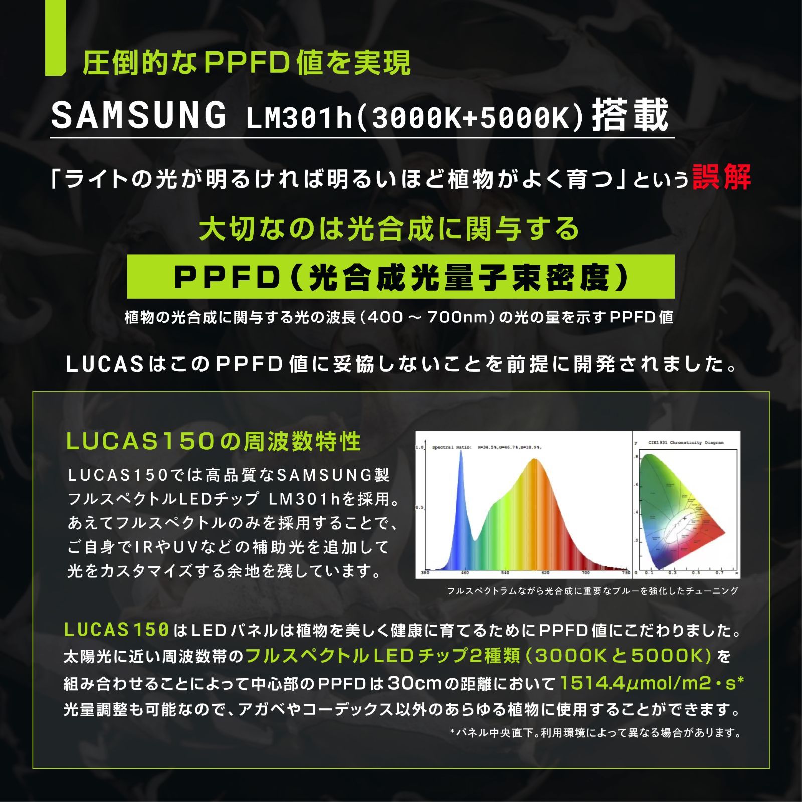 LUCAS150 光量にこだわる方のスタンダードモデル