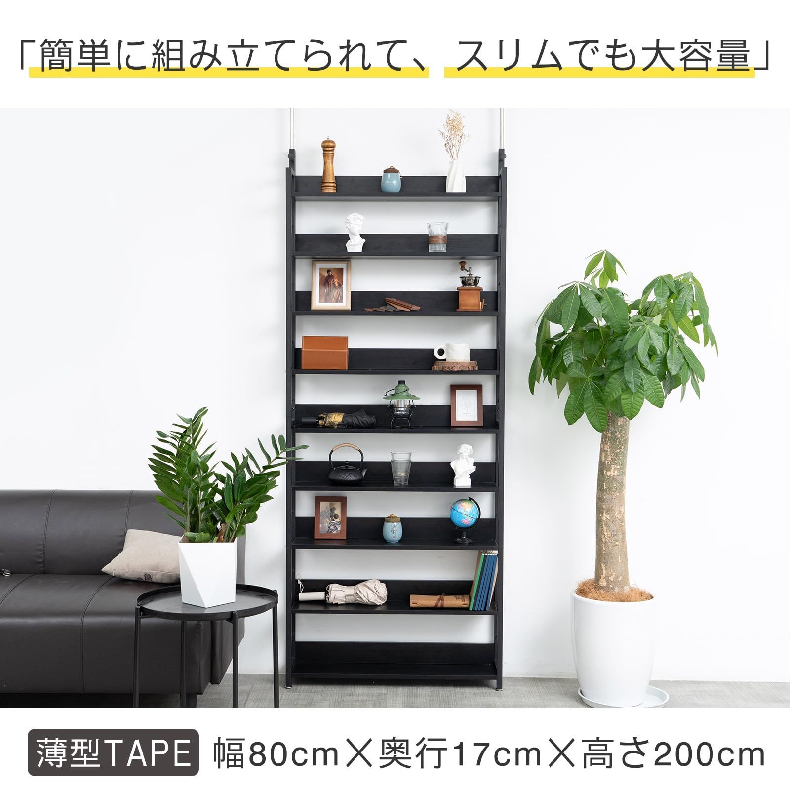 main-r6j83.jpg