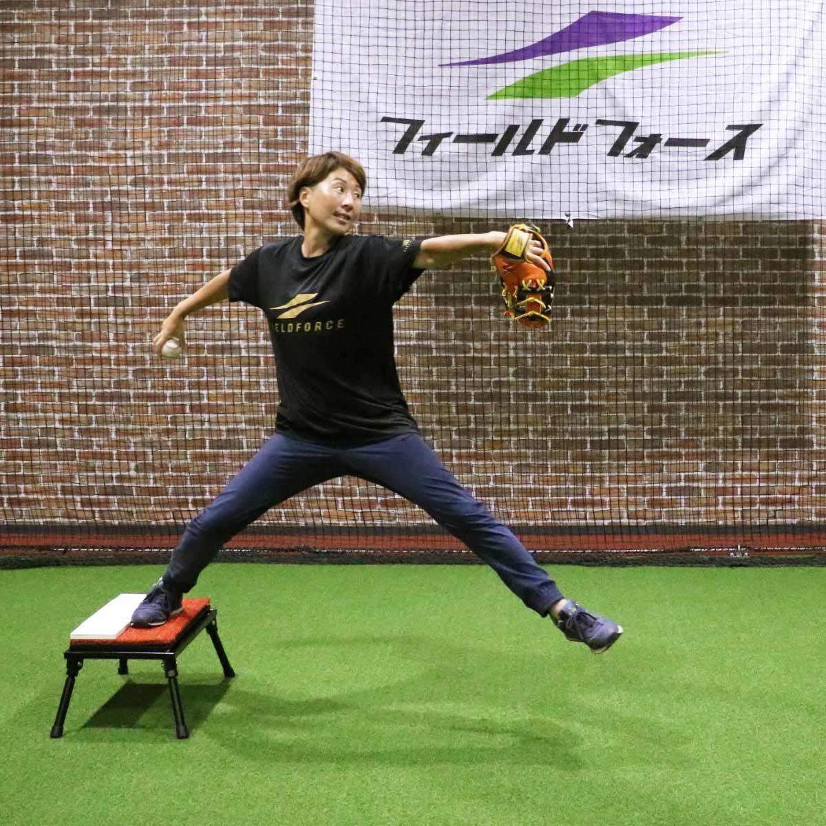 フィールドフォース ピッチプレート＋スタンドセット