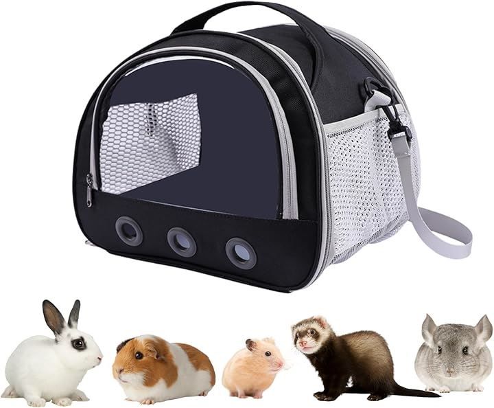 中国画 花鳥図 木枠扁額 【 牡丹に小禽図 】 落款名無 作者不詳