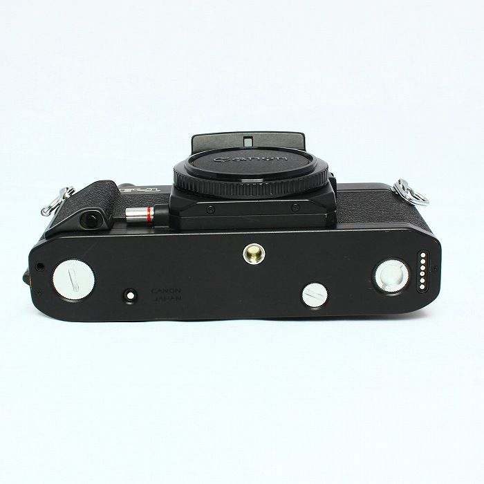 NewF-1