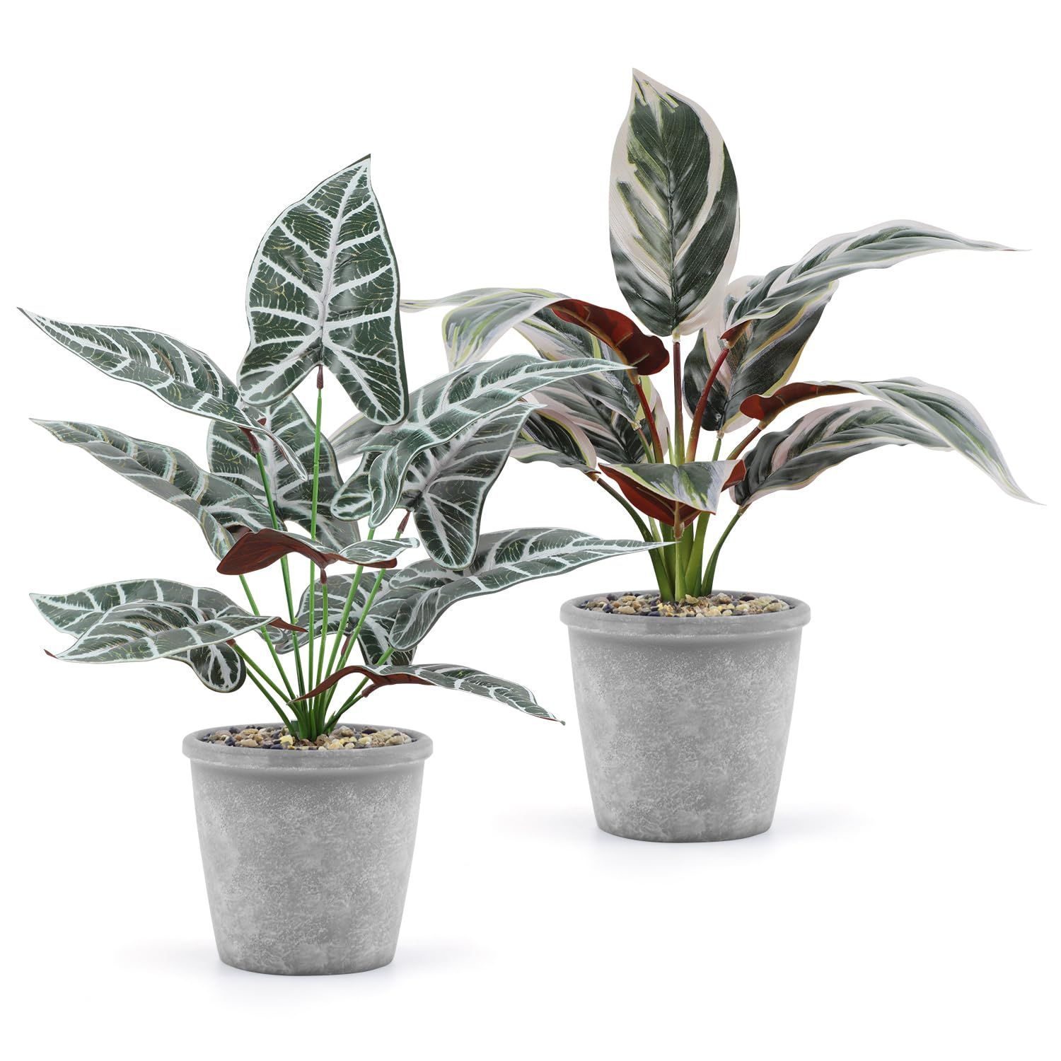 AOKKR 人工観葉植物 フェイクグリーン アロカシア 2個セット 高さ42 造花 インテリア テーブル 玄関 窓側 リビング 棚 オフィス 飾り 葉っぱ ギフト