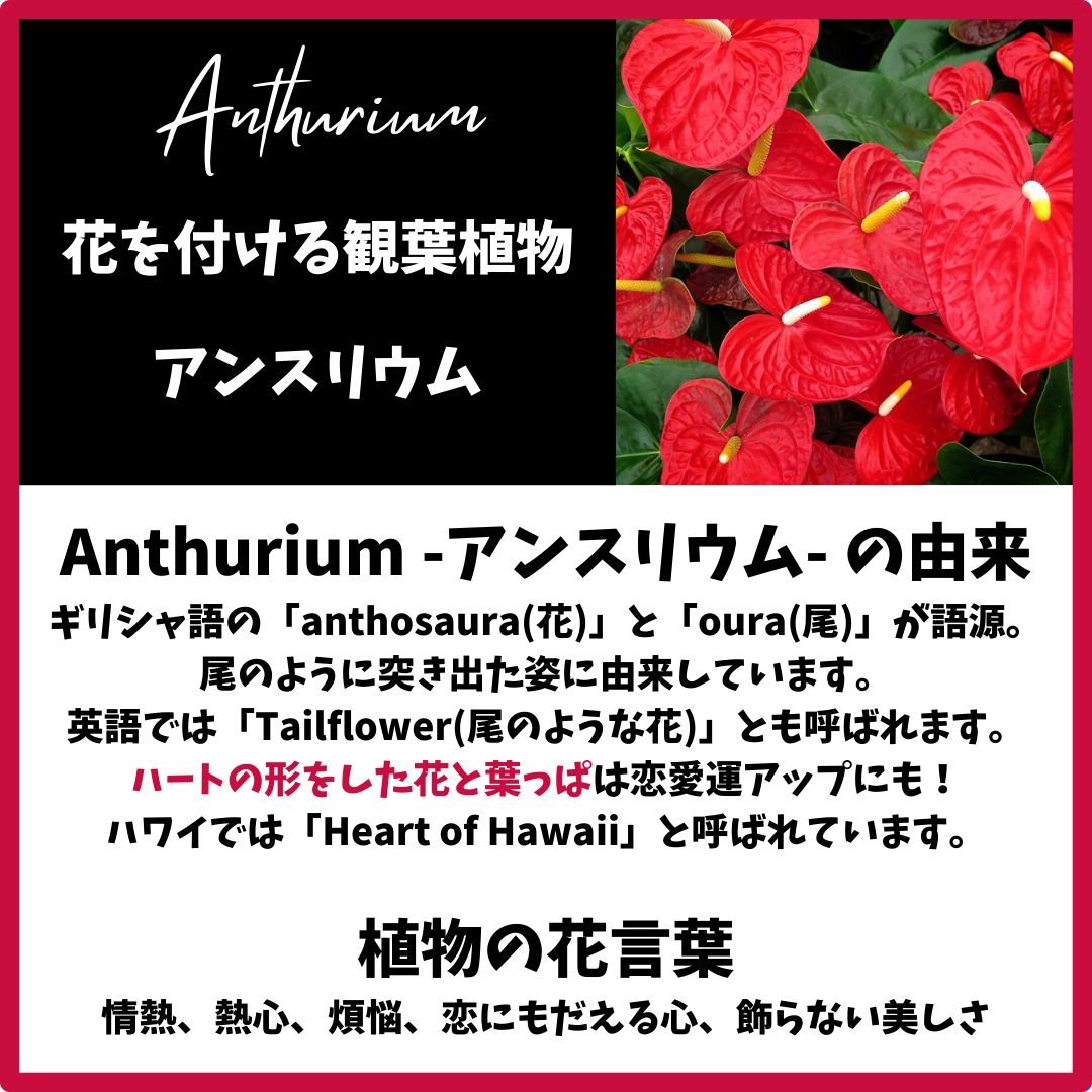 のサムネイル