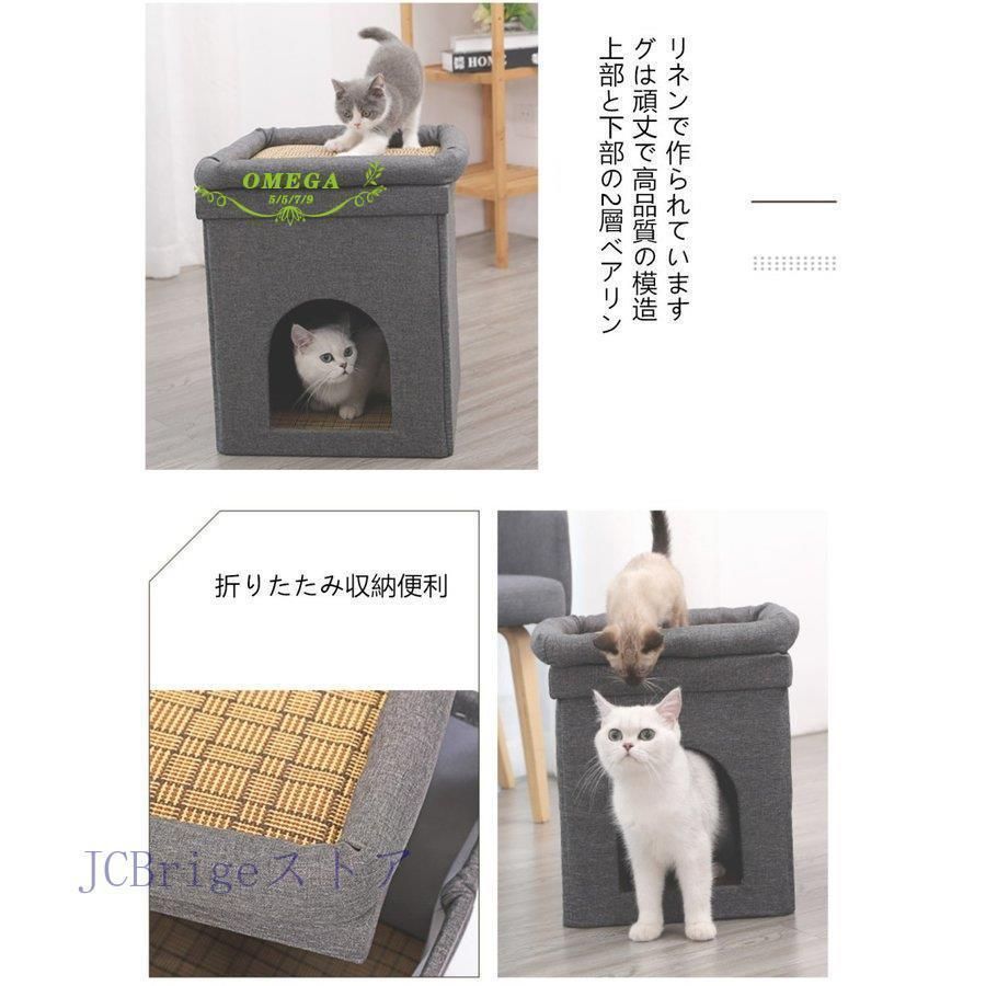 ２匹 ボックスハウス