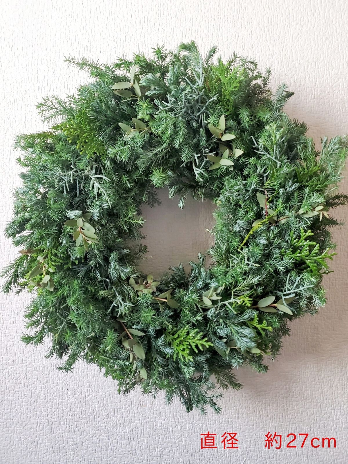 ふわふわ6種類のコニファーリース ヒムロスギ ブルーバード 針葉樹