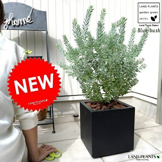 【代ゼミ】『高校生物基礎　鈴川茂先生　第1講授業ノート』　　+α 代ゼミ】『高校生物基礎 鈴川茂先生 第1講授業ノート』 +α 生物基礎