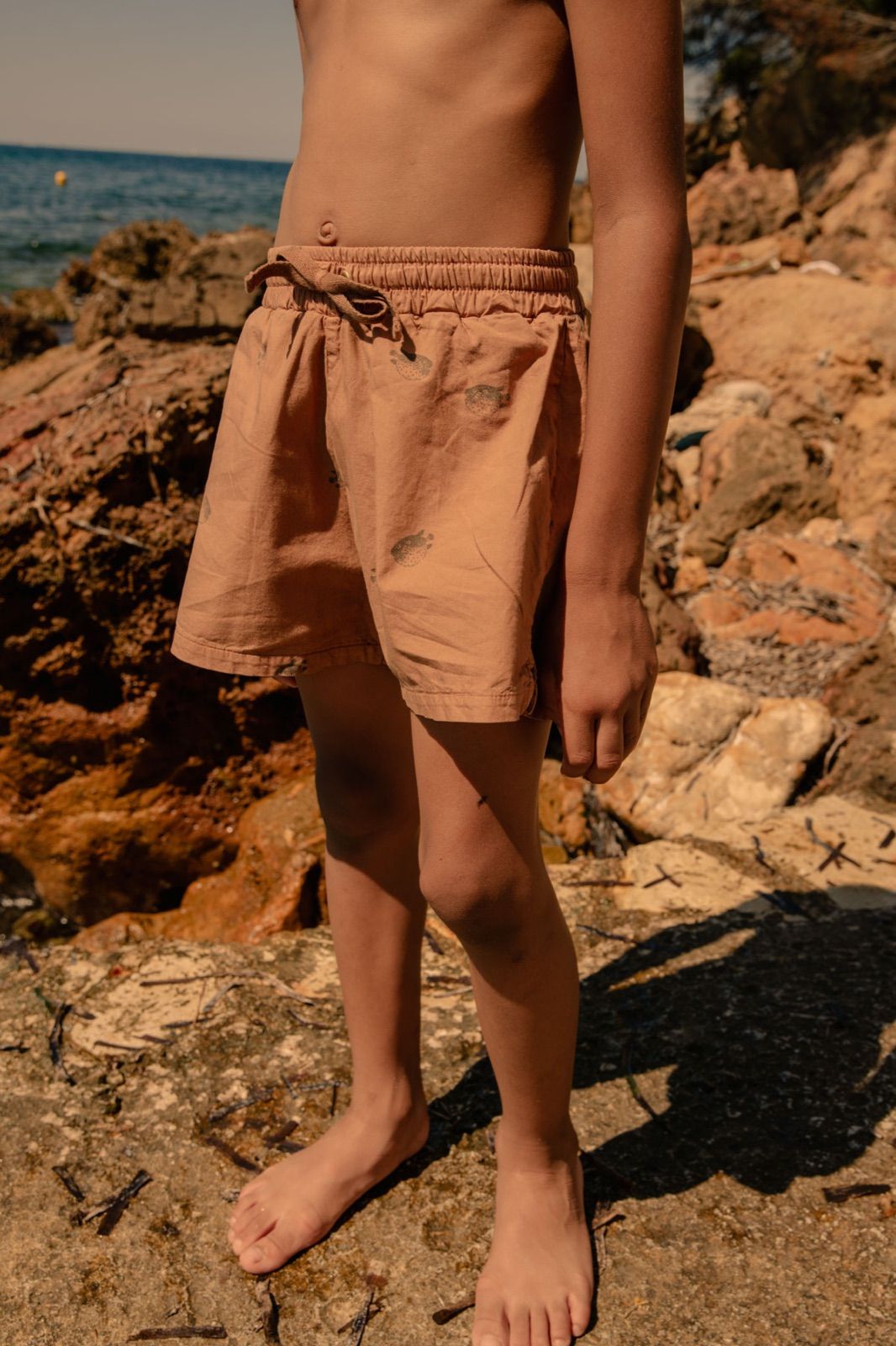 CHICO swimming shorts(indian tan pufferfish) | www.agb.md