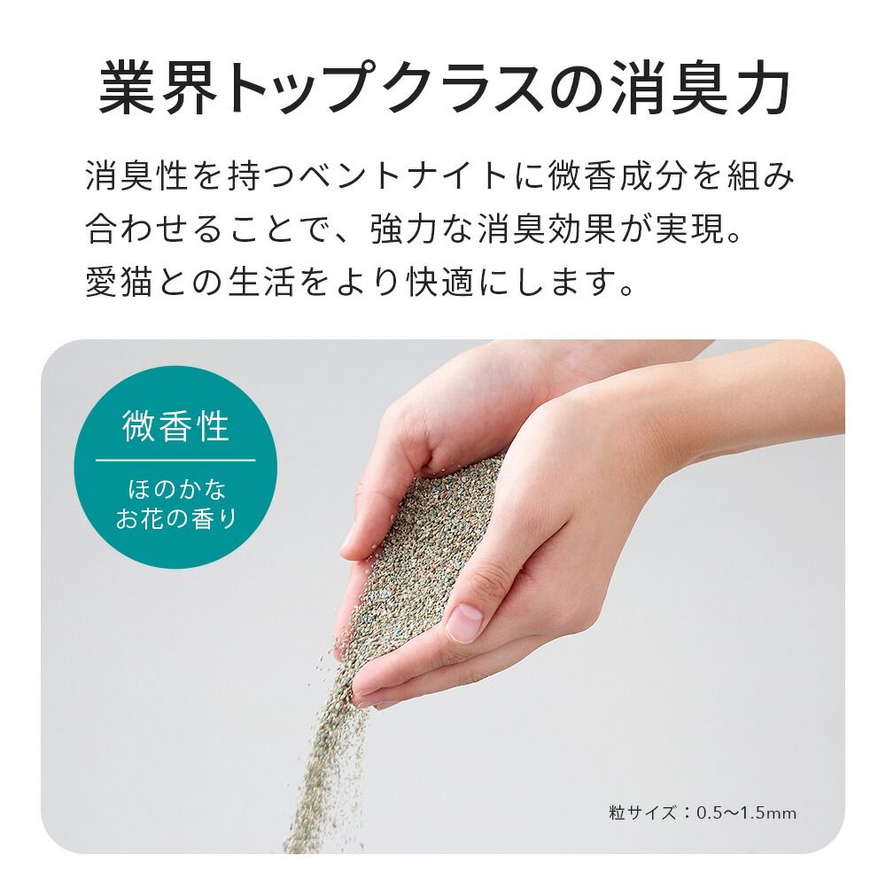 STORE メルカリ店