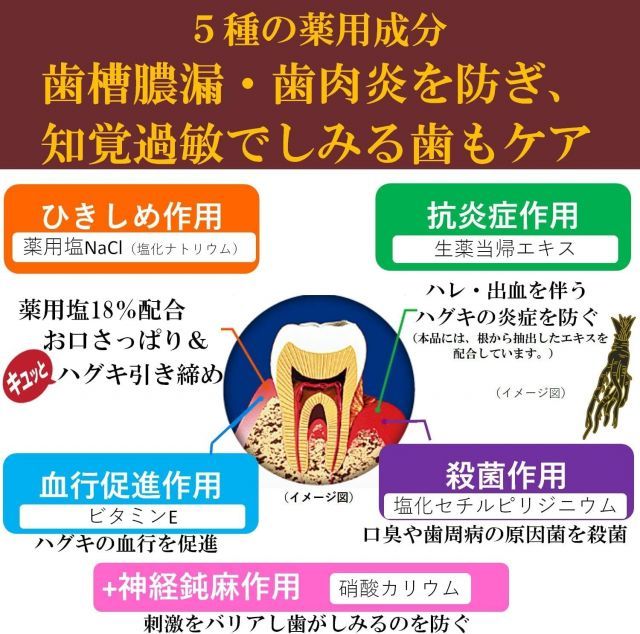 薬用塩ハミガキ 当帰の力