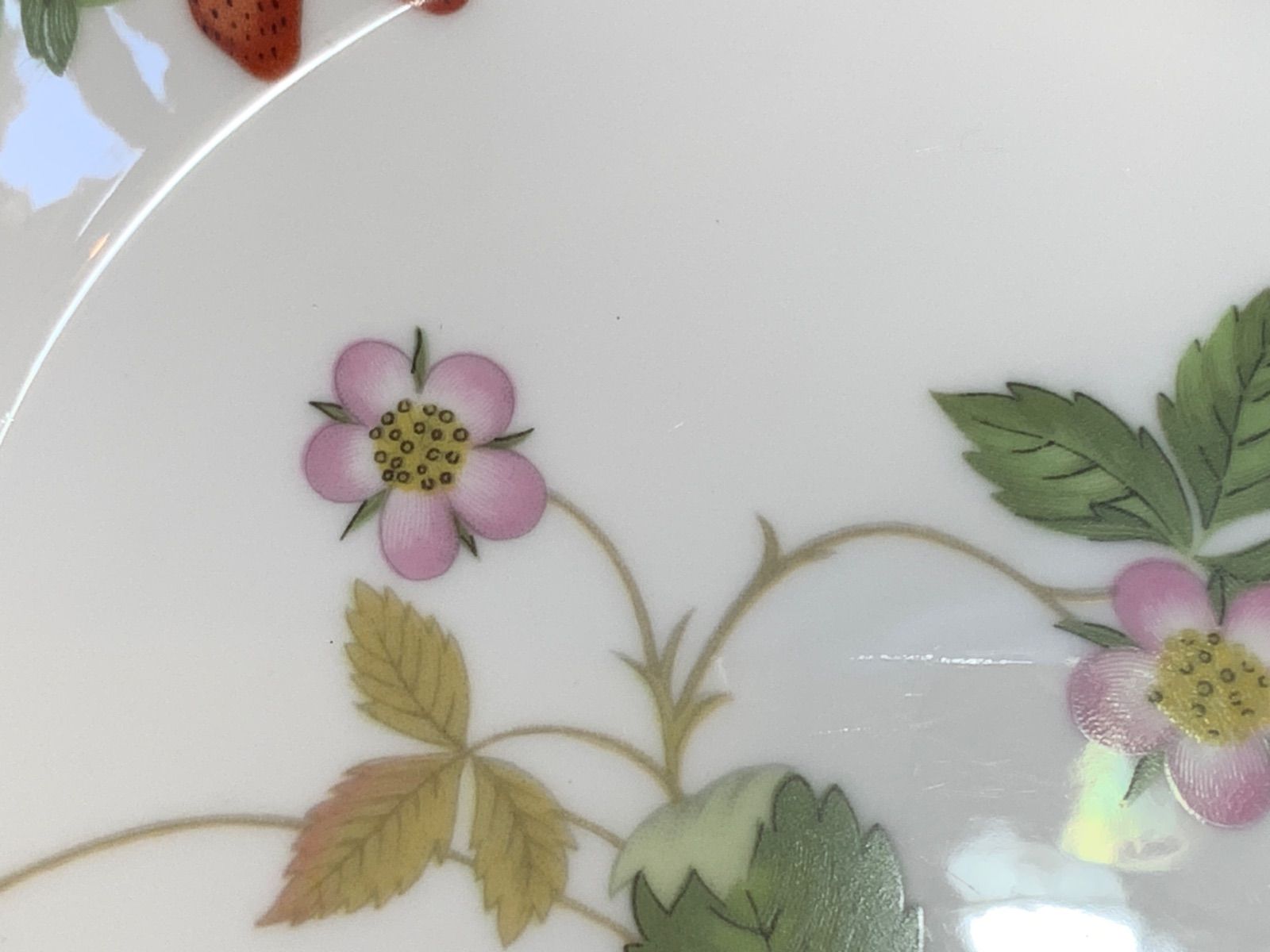 ワイルドストロベリー