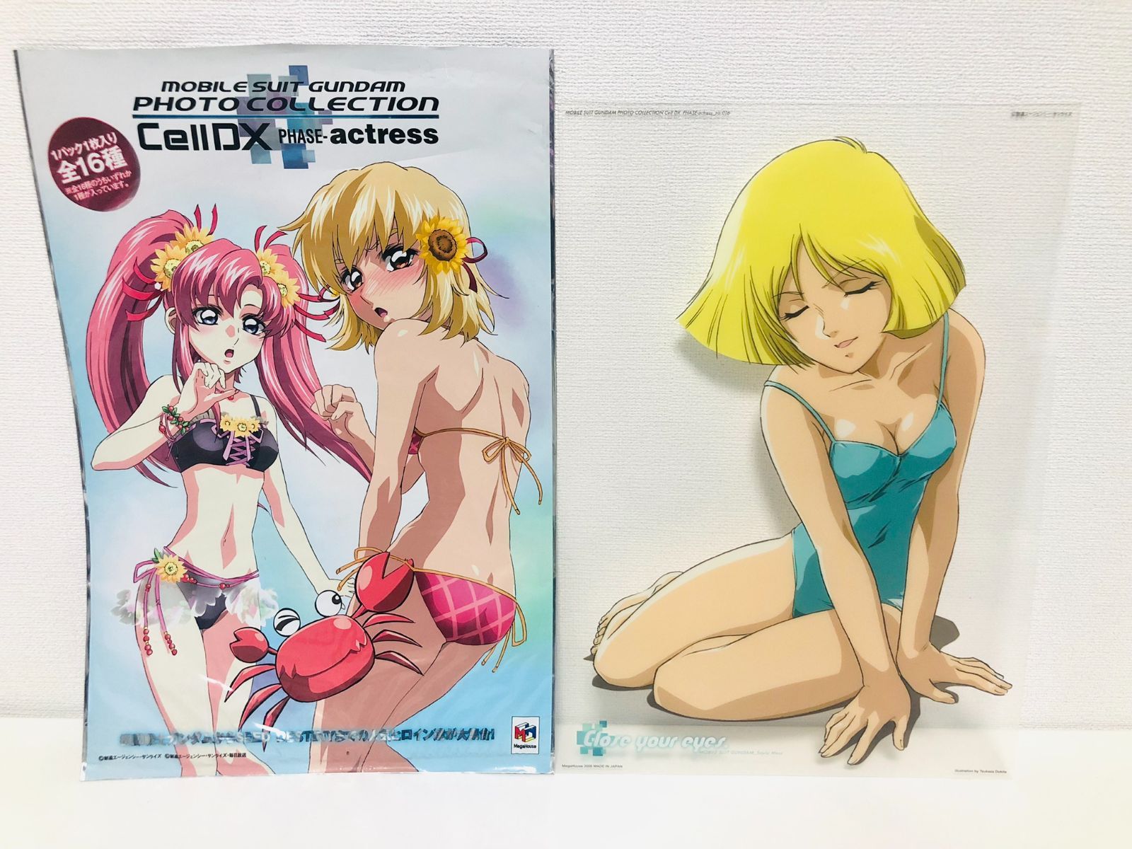 機動戦士ガンダム フォトコレクション Cell DX セイラ・マス