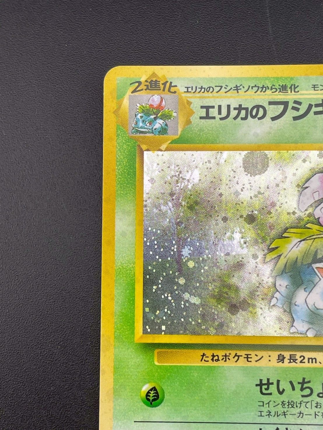 エリカのフシギバナ進化セット★ ジム拡張第2弾 闇からの挑戦 ポケモンカードゲーム ジム拡張第2弾 闇からの挑戦 No.003