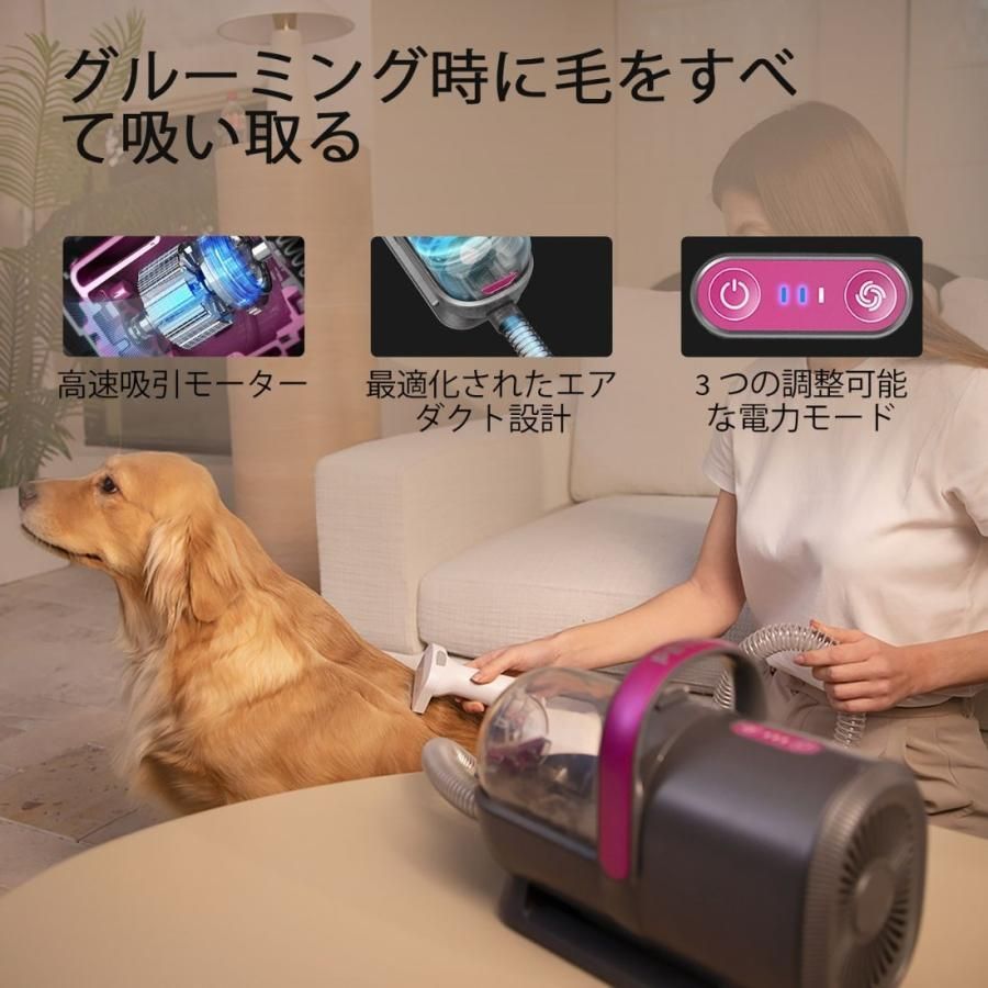 犬 猫