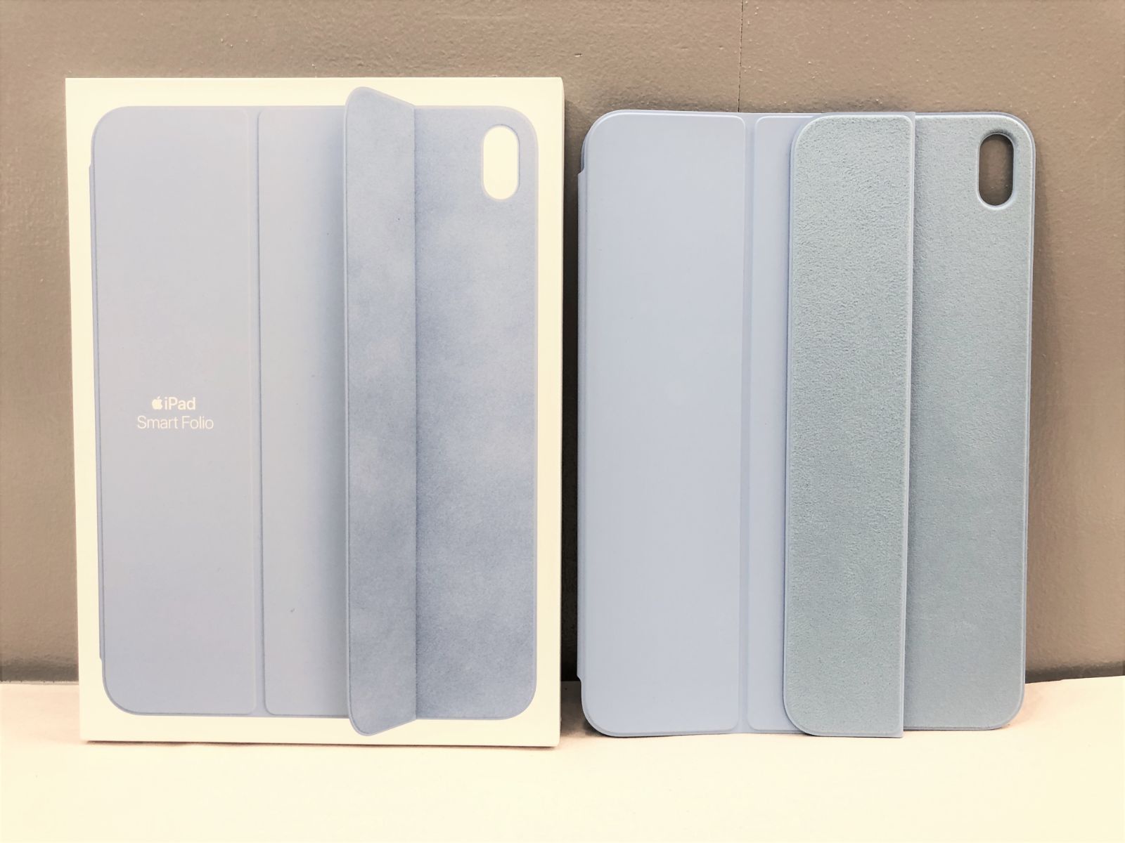 Apple Sky Smart Folio Case For iPad (10th gen) MQDU3ZM/A