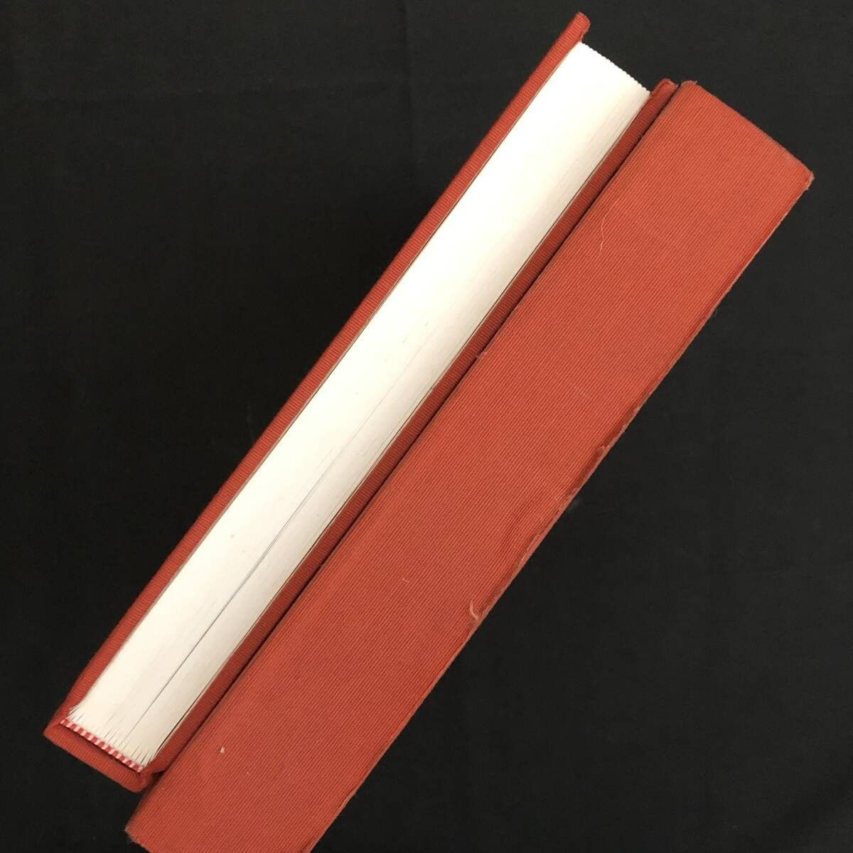 印材彫刻作品目録「中国雅趣品録 印石撰」篆刻石 作品集 中文書 図版