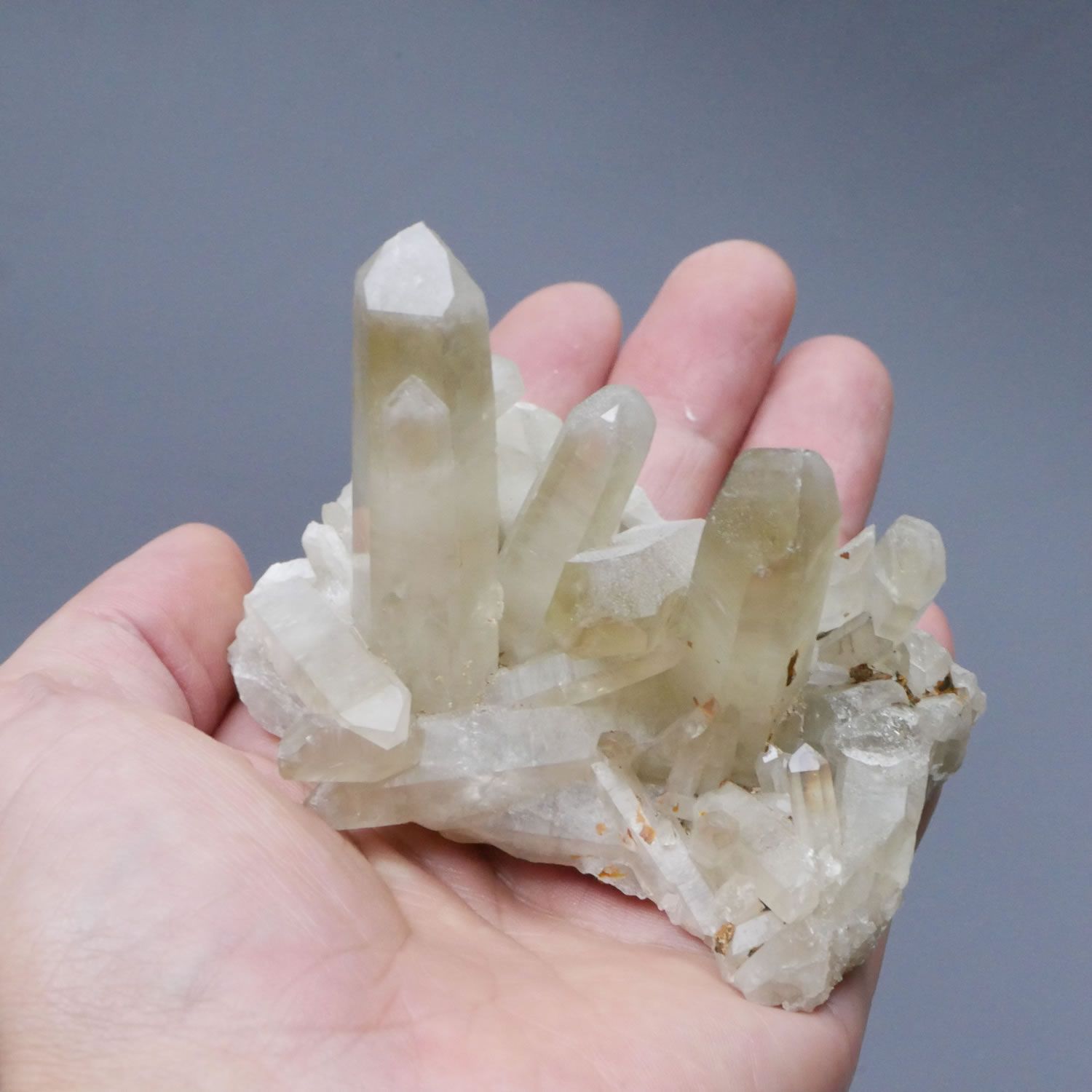 マダガスカル産 煙水晶 天然スモーキークォーツクラスター 1点物