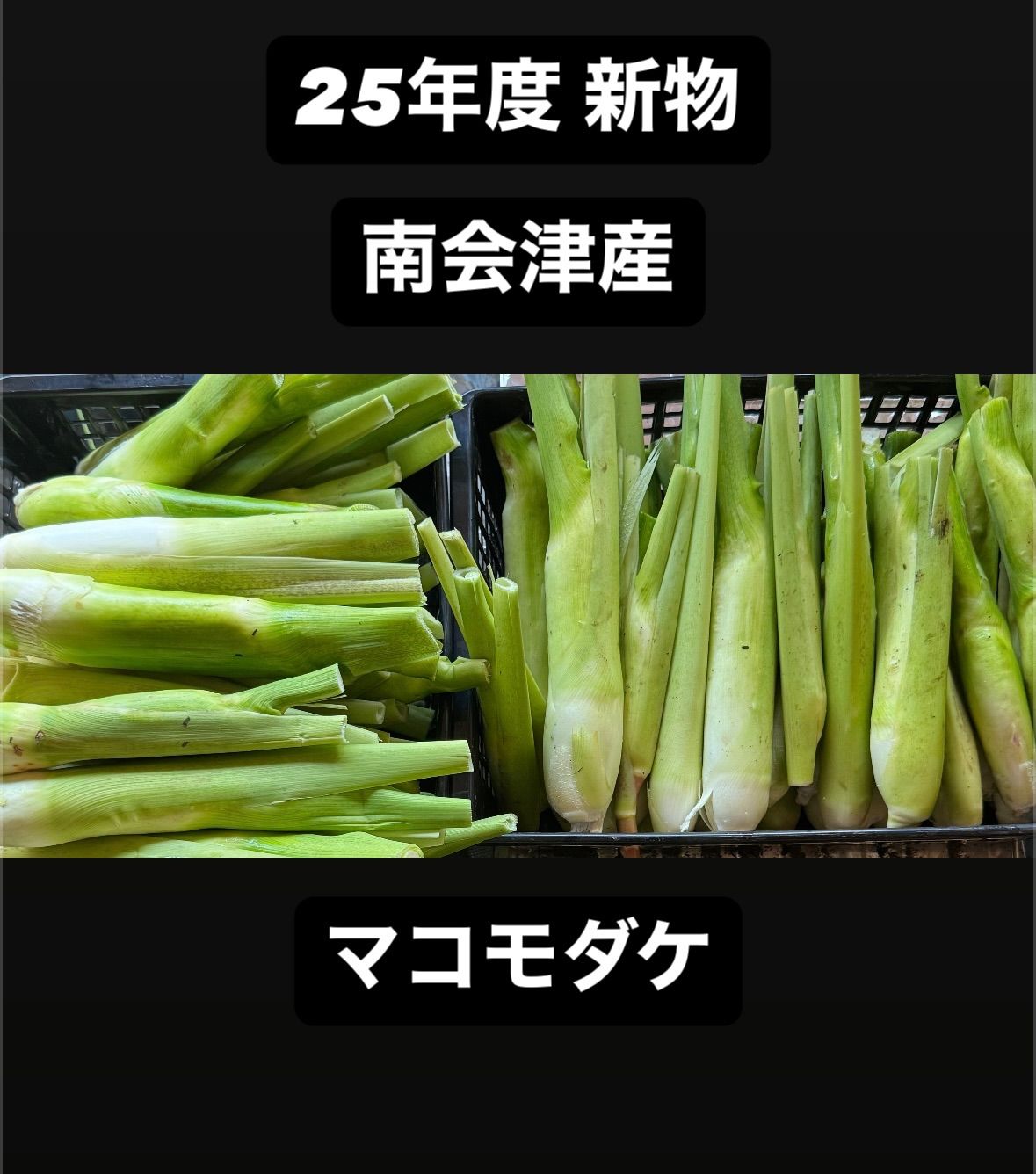 25年度 南会津産 マコモダケ 6キロ
