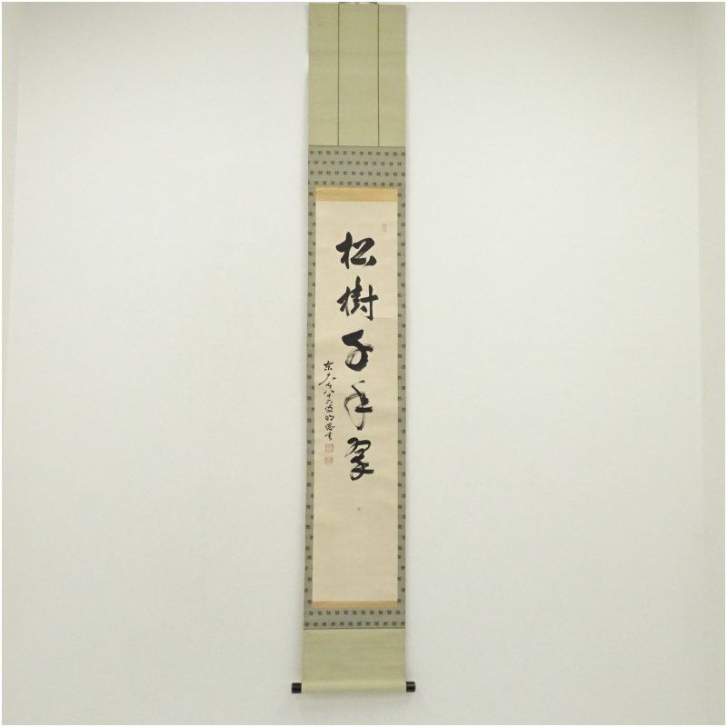 大吉縁様専用 Panasonic ナノケア フェイススチーマー EH-SA0B 良い