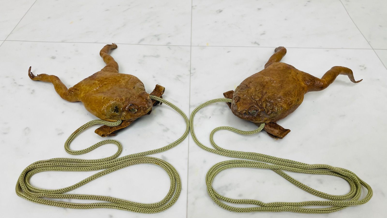 エキゾチックレザー カエル革 フロッグレザー　ハンドバッグ　財布　まとめセット エキゾチックレザー カエル革 フロッグレザー ハンドバッグ 財布