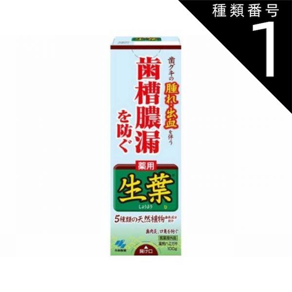 種類1 10個 まとめ買い 小林製薬 薬用ハミガキ 生葉 100g
