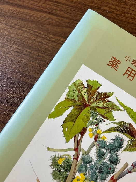 小磯良平の描いた薬用植物画 [図録] 神戸市立小磯記念美術館 神戸市立