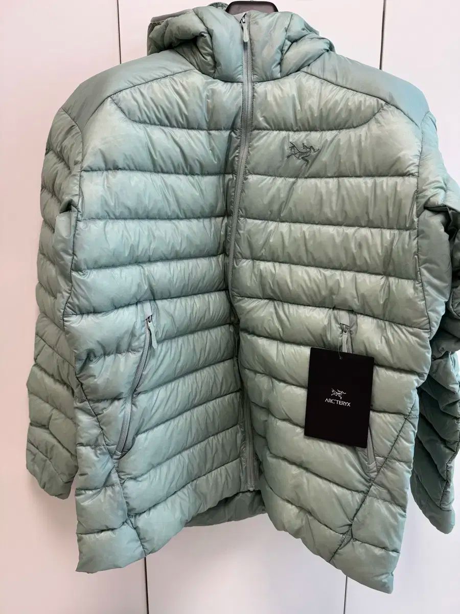 ARC TERYX Cerium フーディー ストーングリーン L