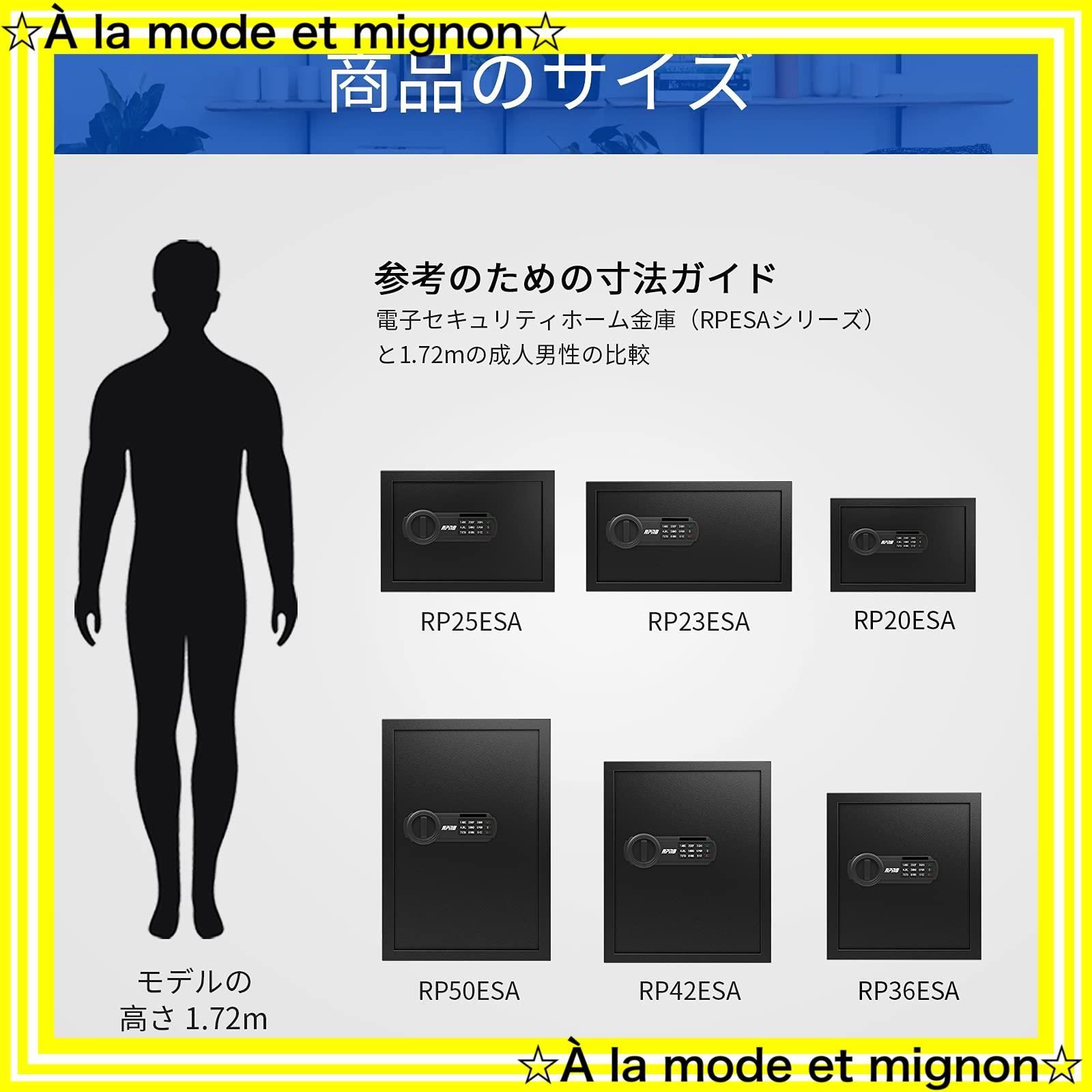 家庭 電子金庫