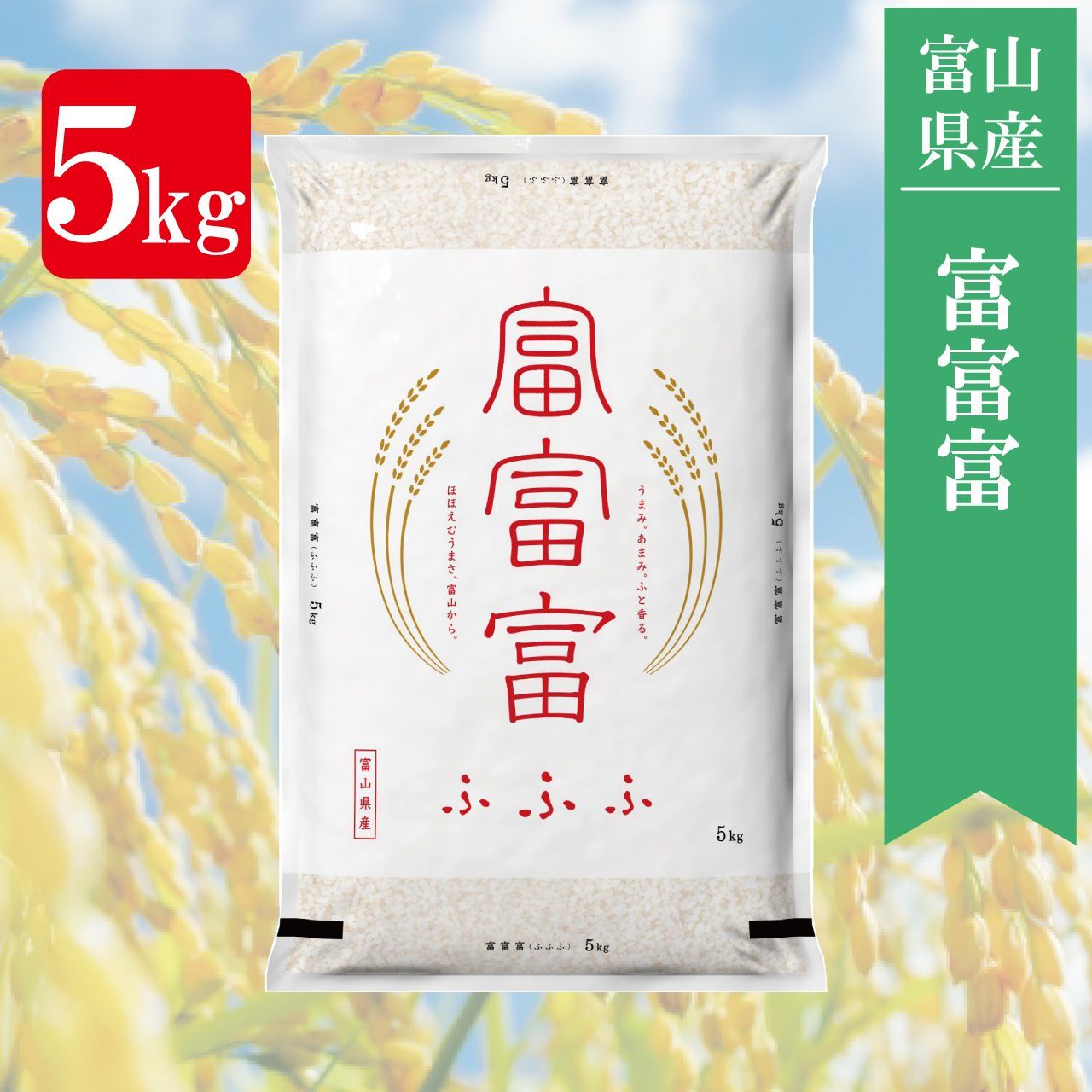 富山県産富富富 5kg 富山産 富山 ふふふ 産地直送 令和6年産 お