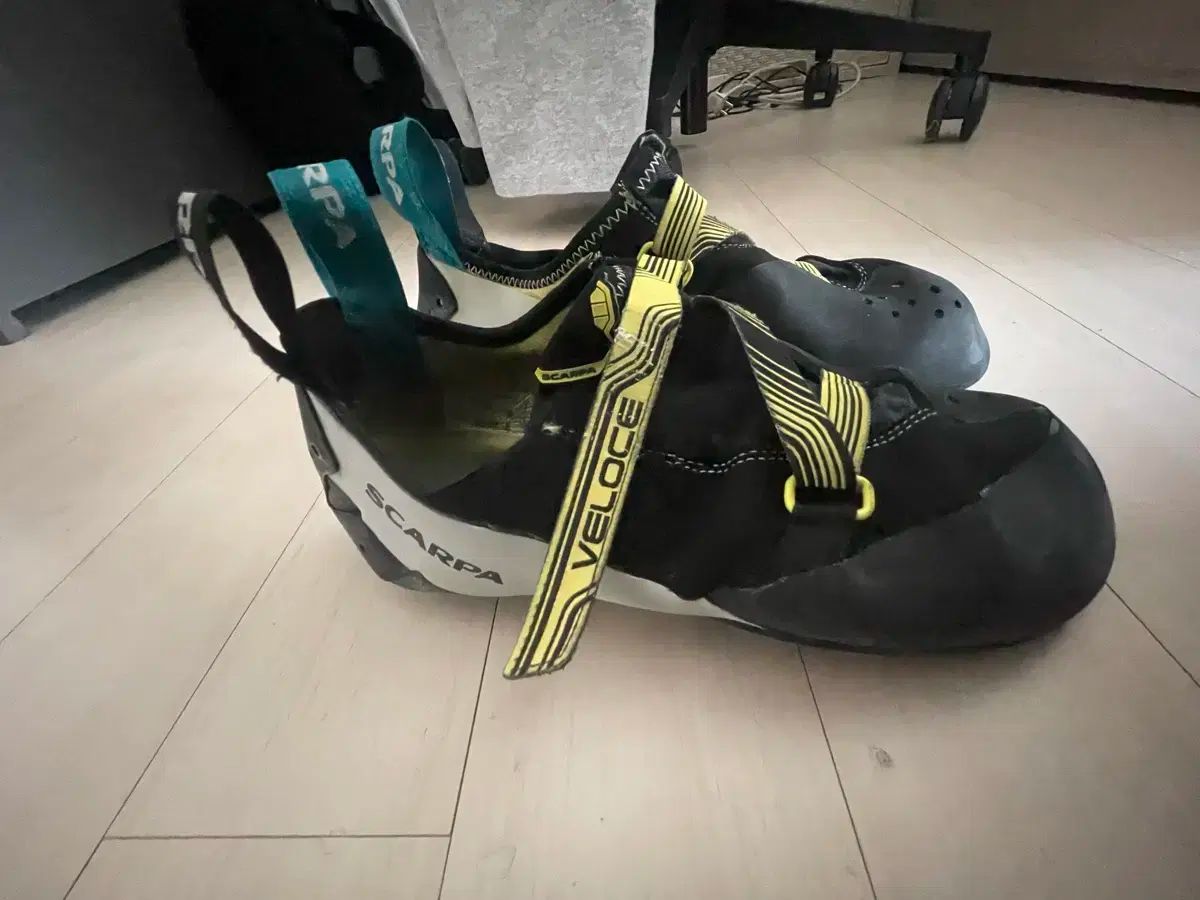 SCARPA スカルパ クライミングシューズ 280