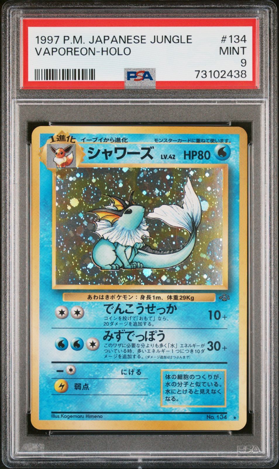PSA鑑定品】ポケモンカード 旧裏面 シャワーズ LV.42 PSA9 ポケカ 拡張