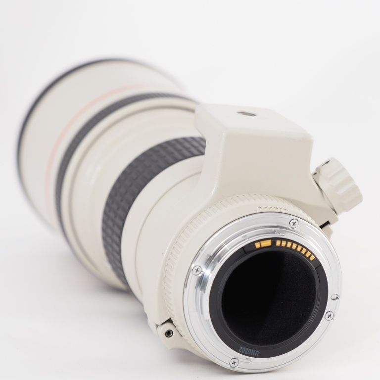 Canon EF 300mm f/4 L USM レンズ 単焦点 レンズ(単焦点) Canon